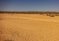 UltimateGraveyard Mojave Desert Cracked Earth