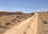 UltimateGraveyard Mojave Dirt Road
